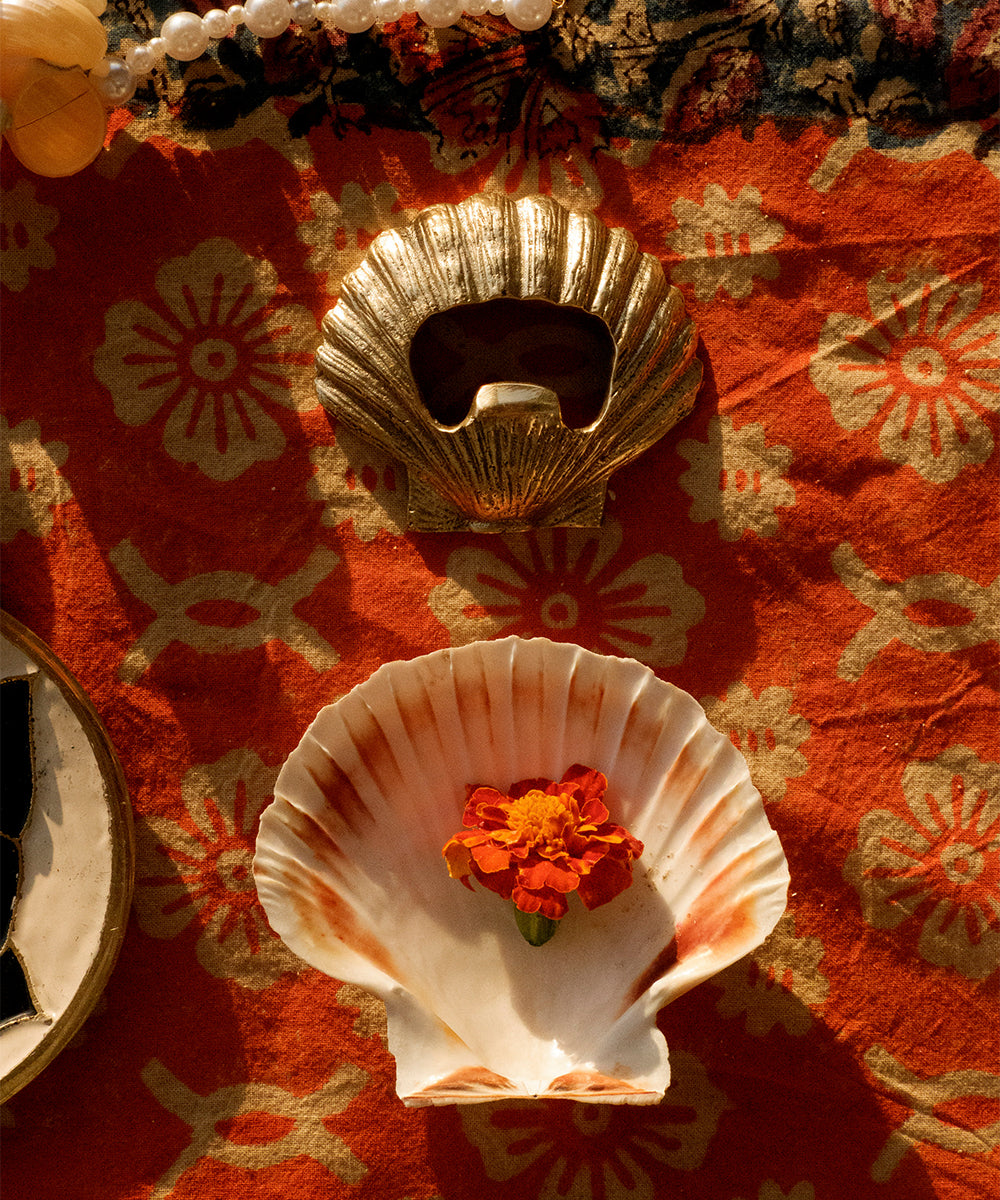 Seashell Bottle Opener
