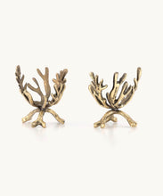 Load image into Gallery viewer, Coral Egg Breakfast Set