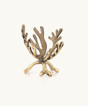 Load image into Gallery viewer, Coral Egg Breakfast Set