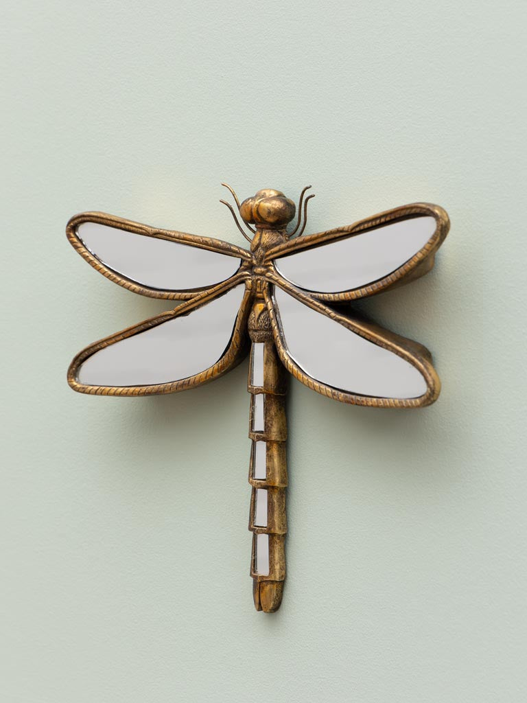 Dragonfly Mirror