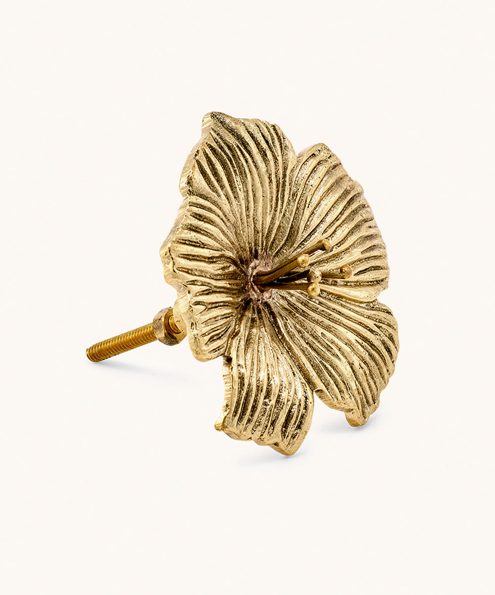 Hollie Hibiscus Knob