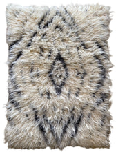 Load image into Gallery viewer, Winslow Rug