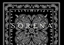 Load image into Gallery viewer, Lucky Clutch Bandana - Black