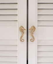 Load image into Gallery viewer, Seahorse Knob Right