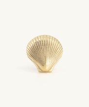 Load image into Gallery viewer, Seashell Knob