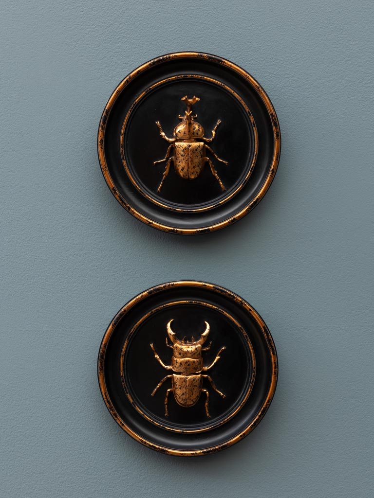 Scarab Frame - Round