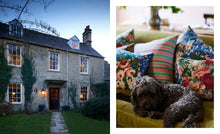 Load image into Gallery viewer, Nicola Harding - Homing Instinct