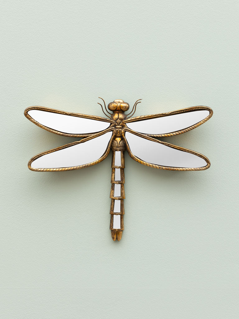 Dragonfly Mirror