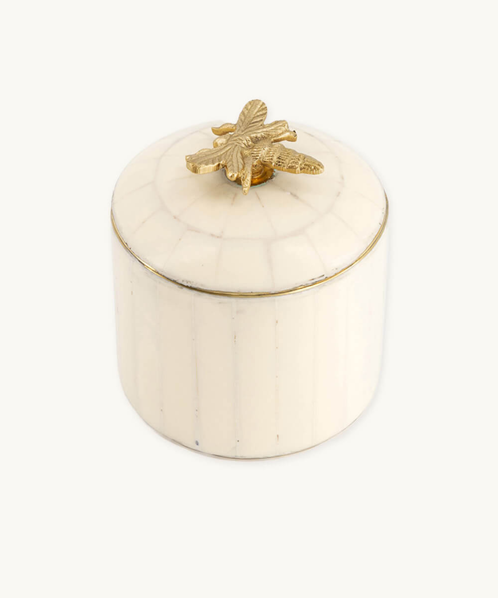 Honey Bee Circus Box