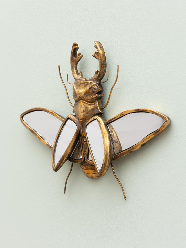 Scarab Mirror