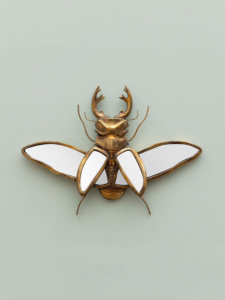 Scarab Mirror