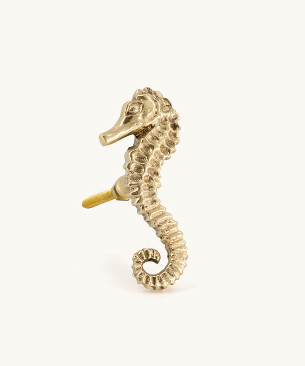 Seahorse Knob Right