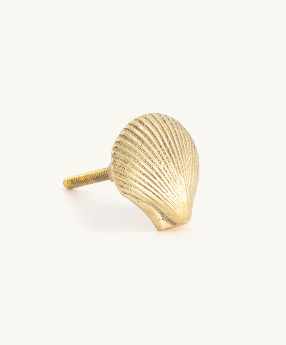 Seashell Knob