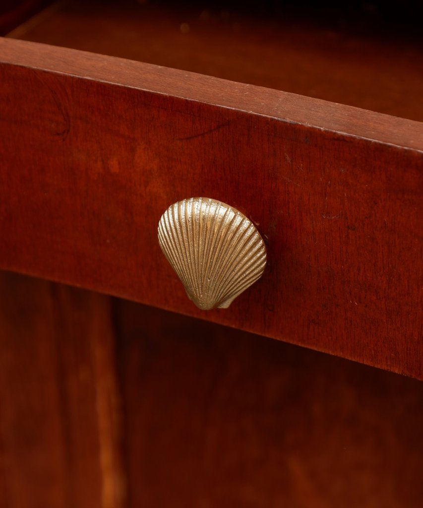 Seashell Knob
