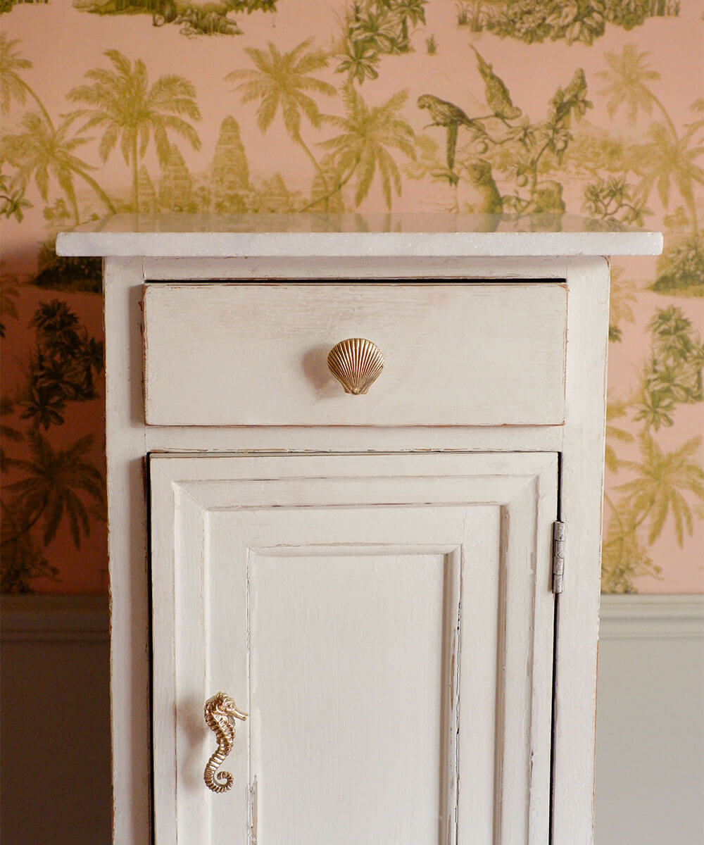 Seashell Knob