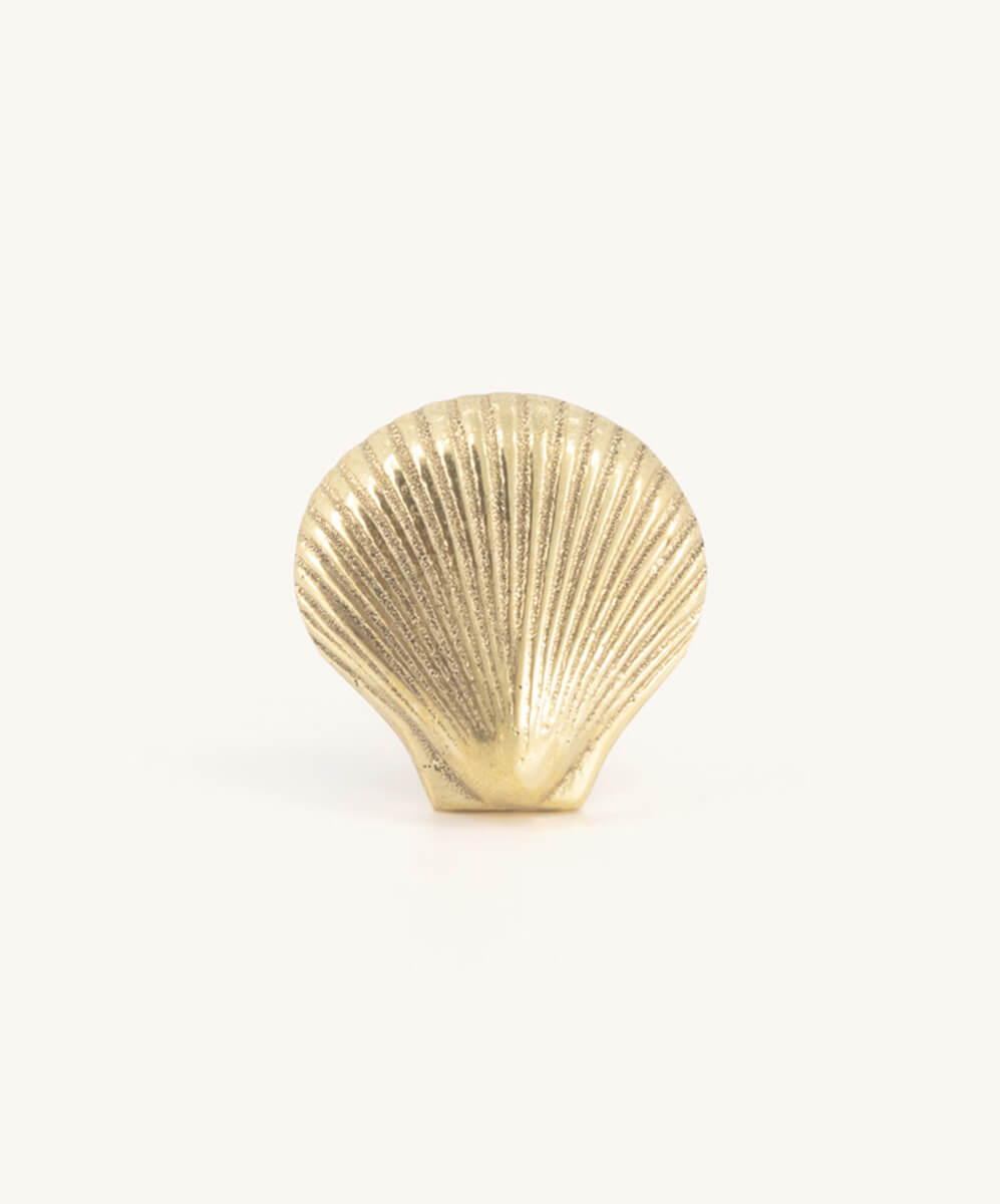 Seashell Knob