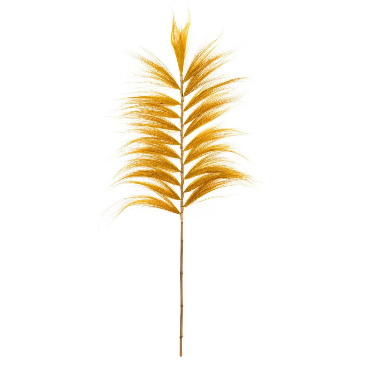 The Bamboo Leaf - Madras Yellow