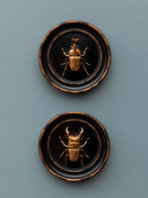 Load image into Gallery viewer, Scarab Frame - Round
