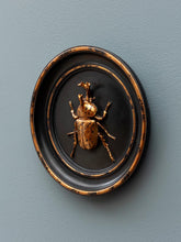 Load image into Gallery viewer, Scarab Frame - Round
