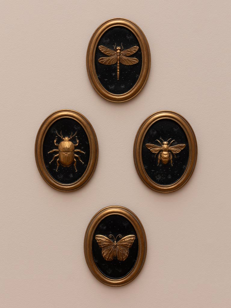 Entomology Frame