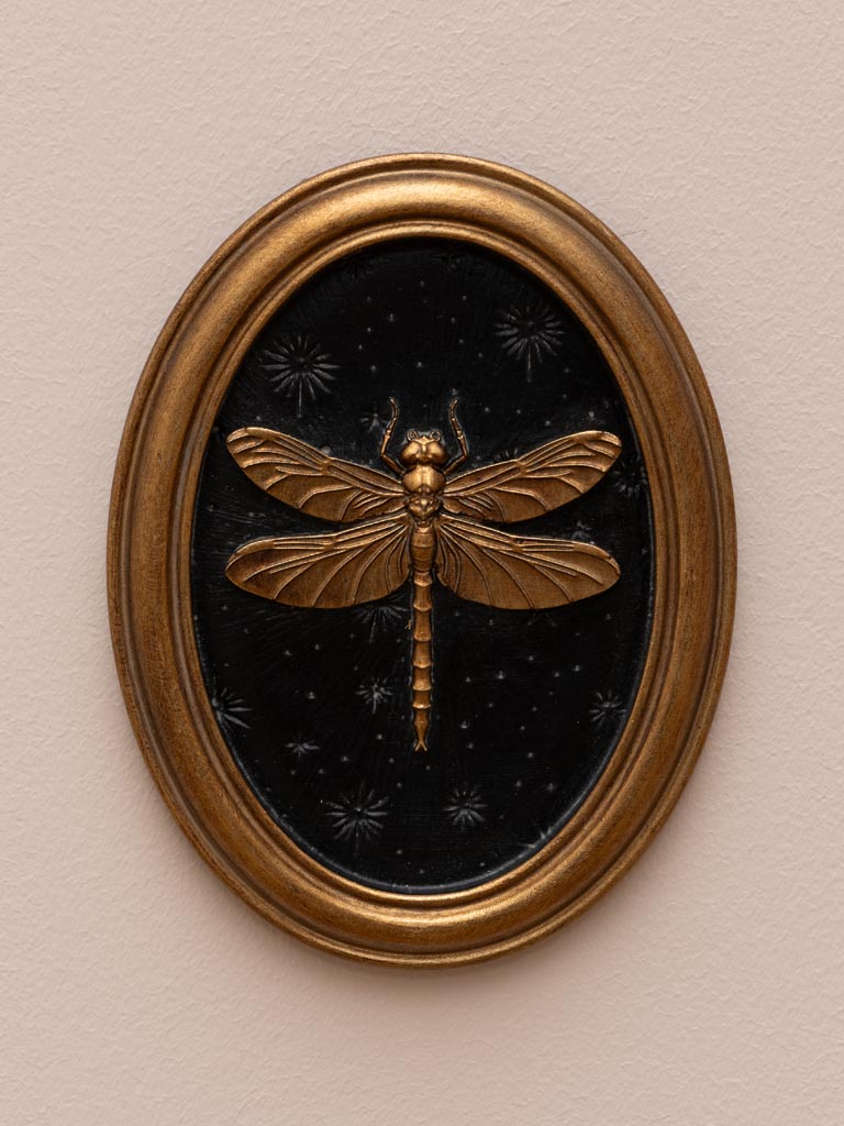 Entomology Frame