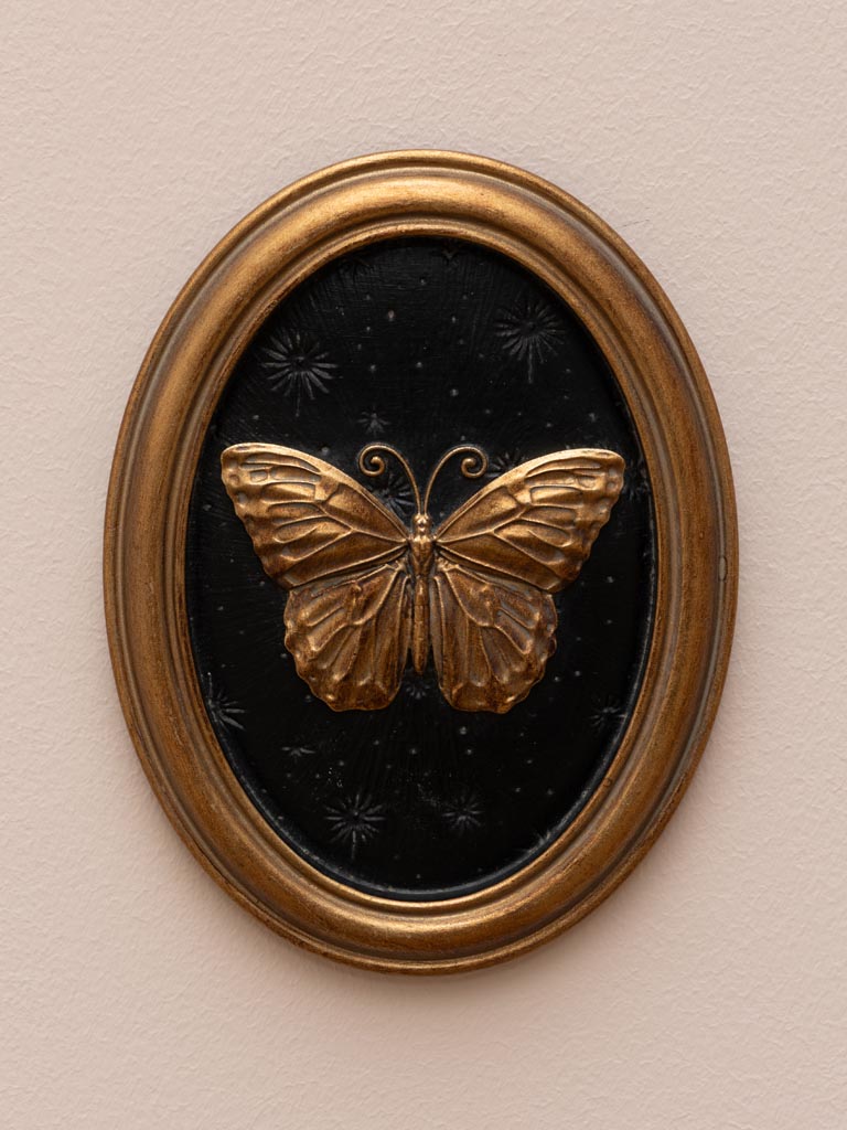 Entomology Frame