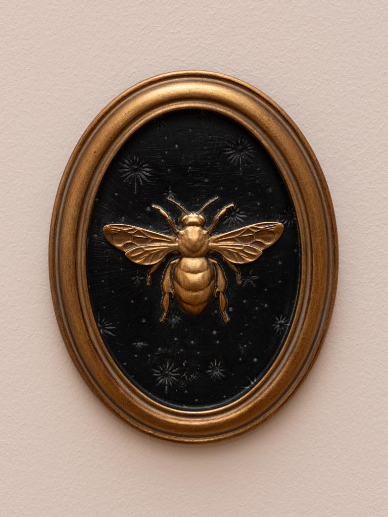 Entomology Frame