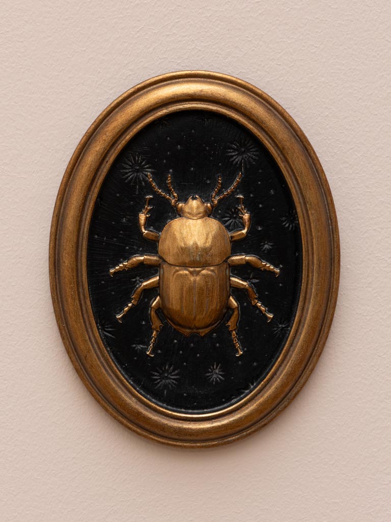 Entomology Frame