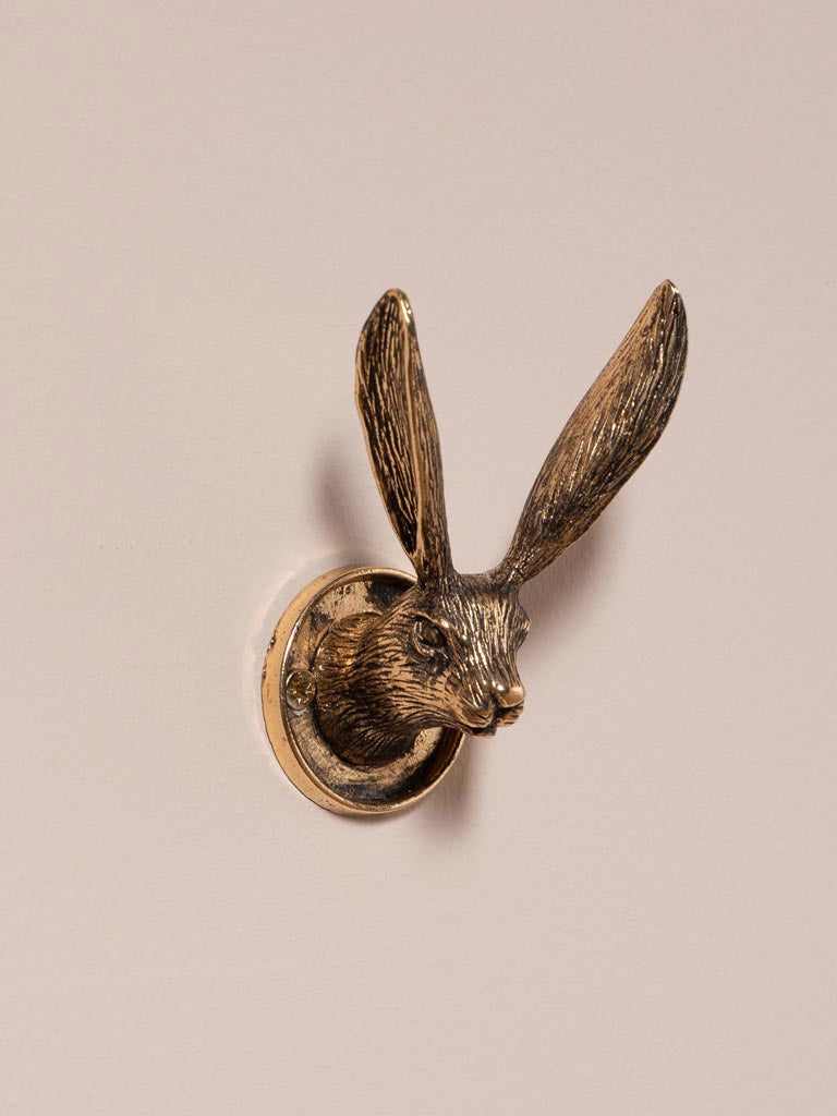 Remy Rabbit Hook