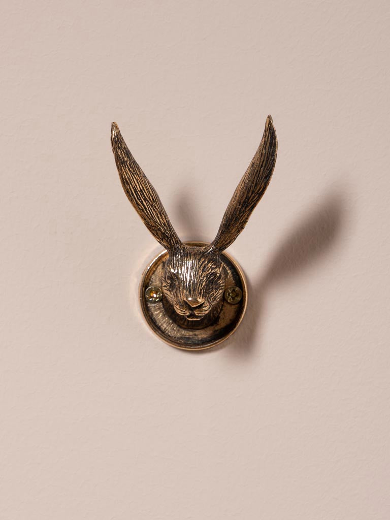 Remy Rabbit Hook