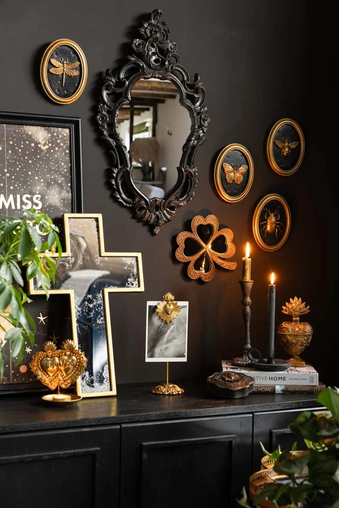Entomology Frame